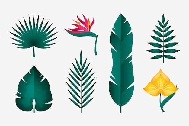 Tropical flower and leaf collection