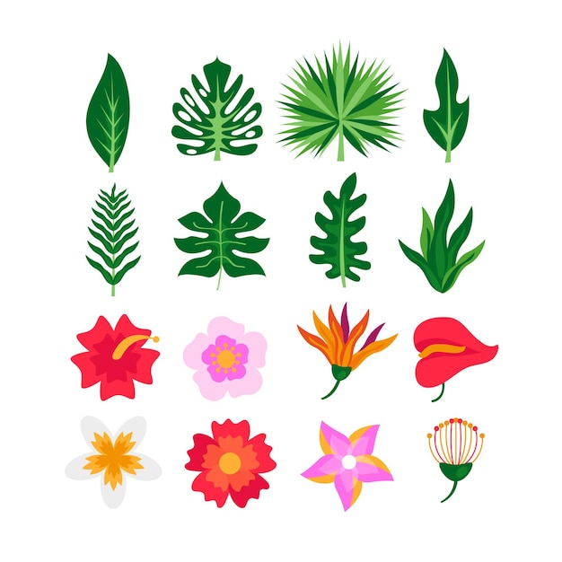 Tropical flower and leaf collection