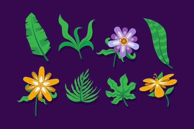 Tropical flower and leaf collection