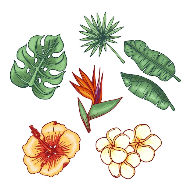 Free vector tropical flower and leaf collection