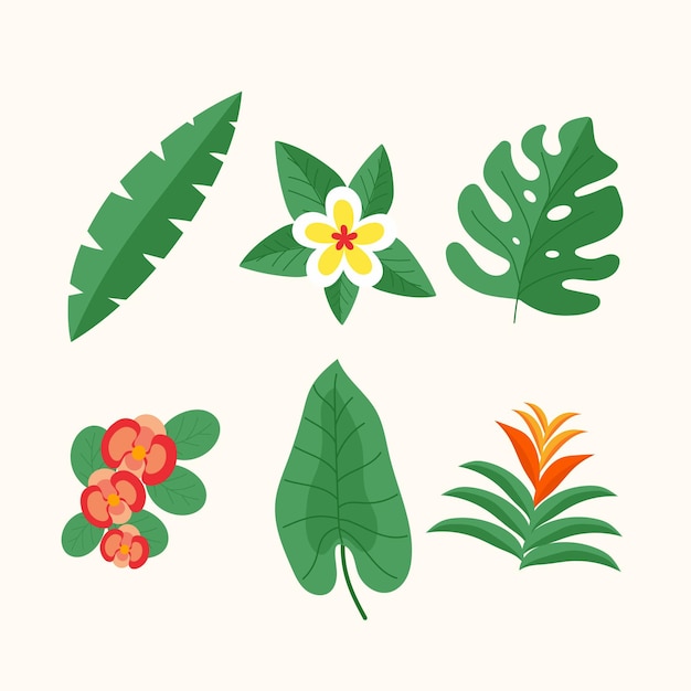 Tropical flower and leaf collection