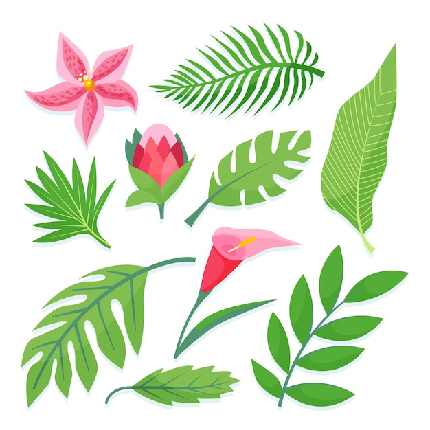 Tropical flower and leaf collection