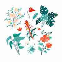 Free vector tropical flower and leaf collection