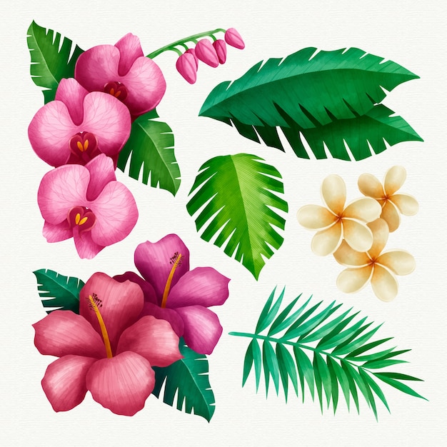 Free vector tropical flower and leaf collection