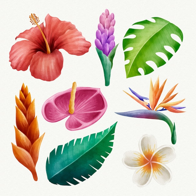 Vettore gratuito collezione di fiori e foglie tropicali