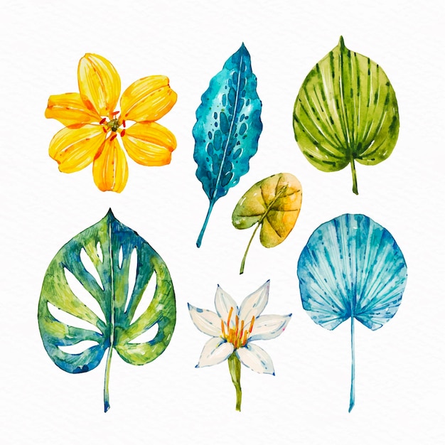 Free vector tropical flower and leaf collection