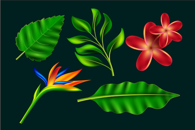 Vettore gratuito collezione di fiori e foglie tropicali