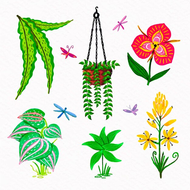 Tropical flower and leaf collection