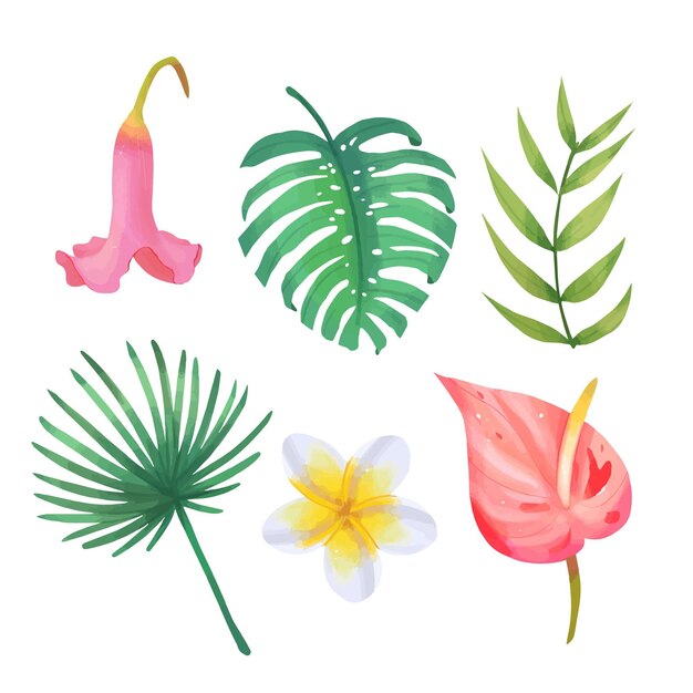 Tropical flower and leaf collection