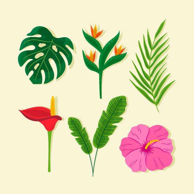 Tropical flower and leaf pack