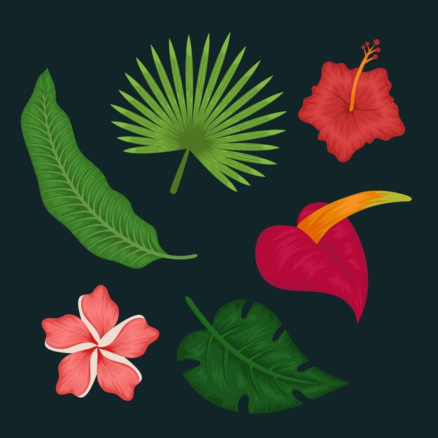 Пакет тропических цветов и листьев