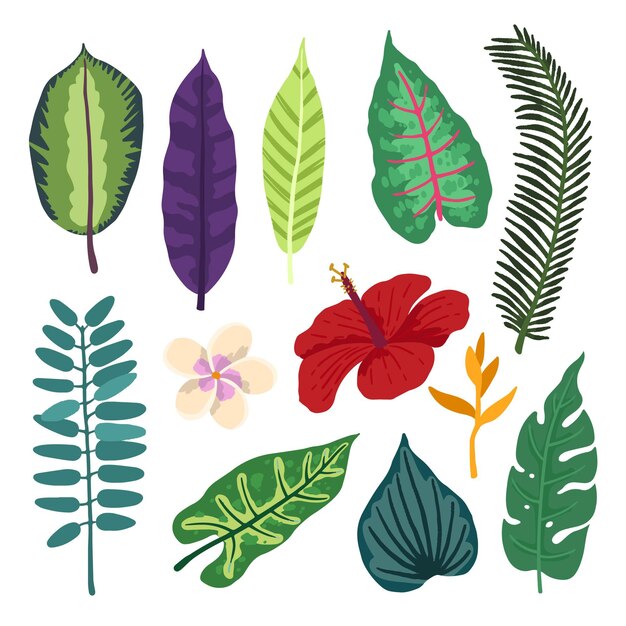 Tropical flower and leaf pack