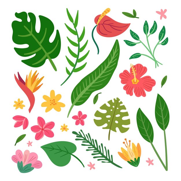 Tropical flower and leaf pack