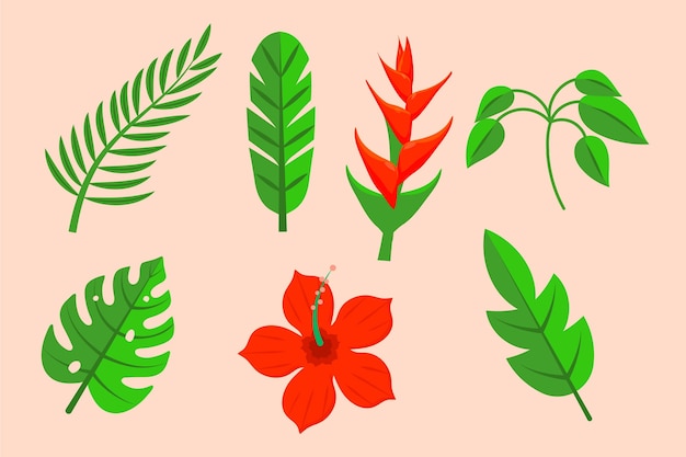 Free vector tropical flower and leaf set