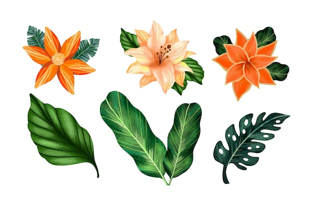 Tropical flower and leaf set