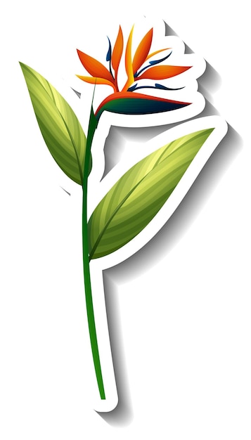 Наклейка с тропическим цветком на белом фоне