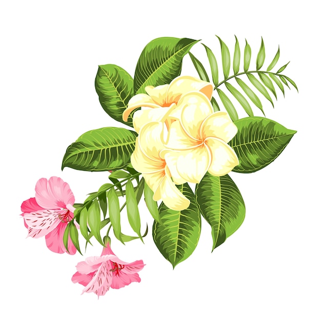 Tropical flower on white background. Vector illustration.