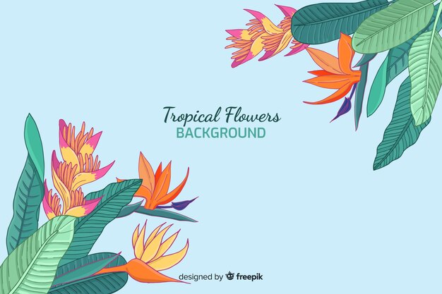 Tropical flowers background