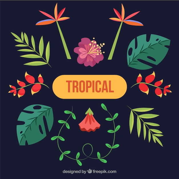 Tropical flowers collection in flat style