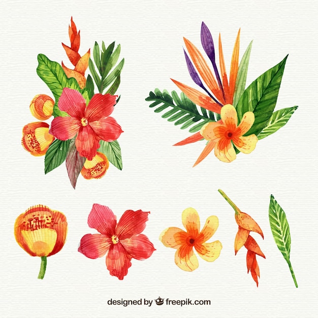 Tropical flowers collection in watercolor style