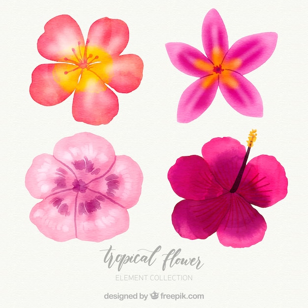 Tropical flowers collection in watercolor style