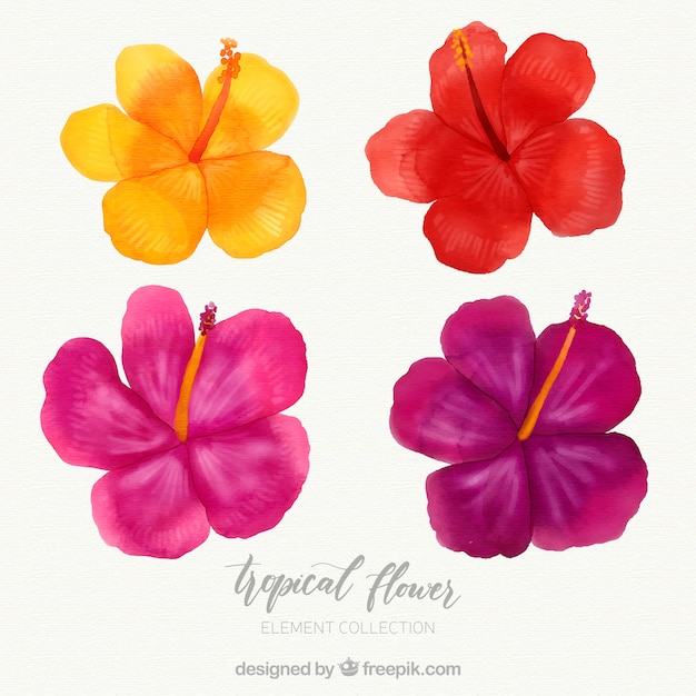 Tropical flowers collection in watercolor style