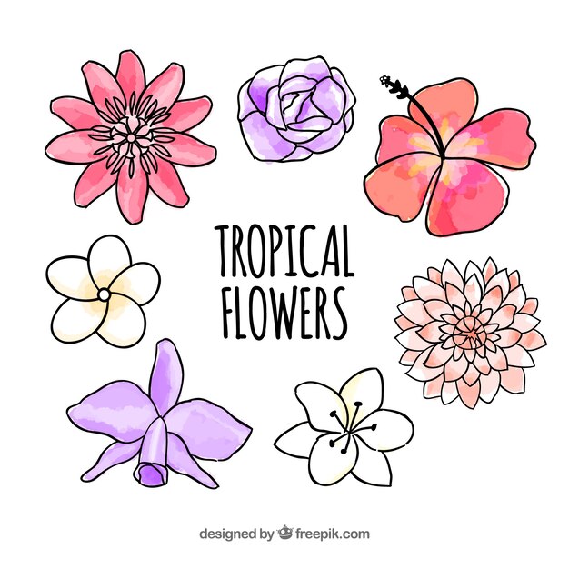 Tropical flowers collection in watercolor style