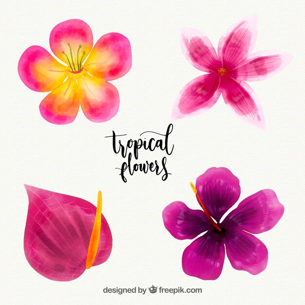 Tropical flowers collection in watercolor style