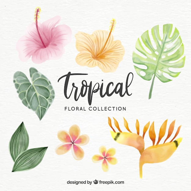 Tropical flowers collection in watercolor style