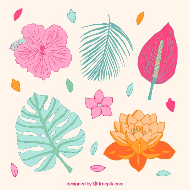 Tropical flowers collection with warm colors