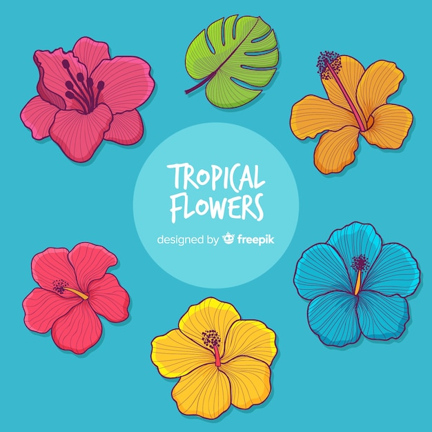 Tropical flowers collection