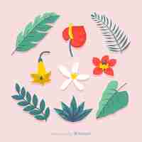 Free vector tropical flowers and leaves collection