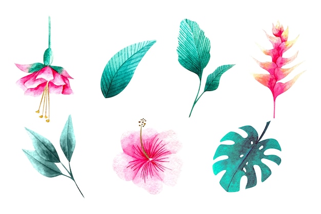 Free vector tropical flowers and leaves collection