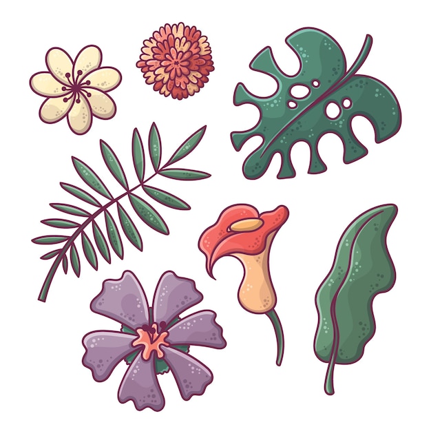 Free vector tropical flowers and leaves collection