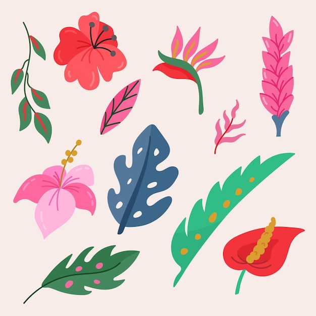 Tropical flowers and leaves collection
