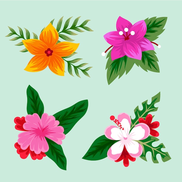 Tropical flowers and leaves collection