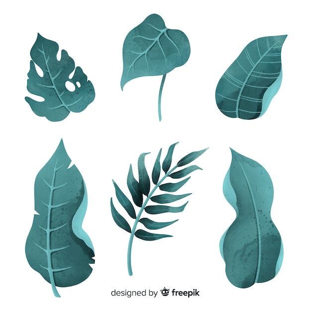 Free vector tropical flowers and leaves collection