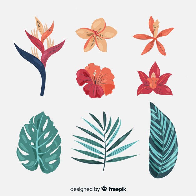 Tropical flowers and leaves collection