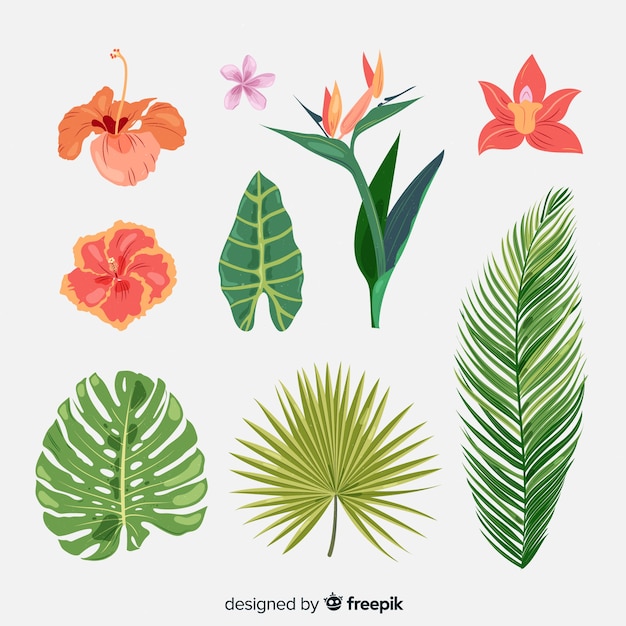 Tropical Flowers And Leaves Collection