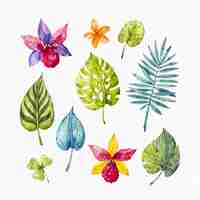 Free vector tropical flowers and leaves pack