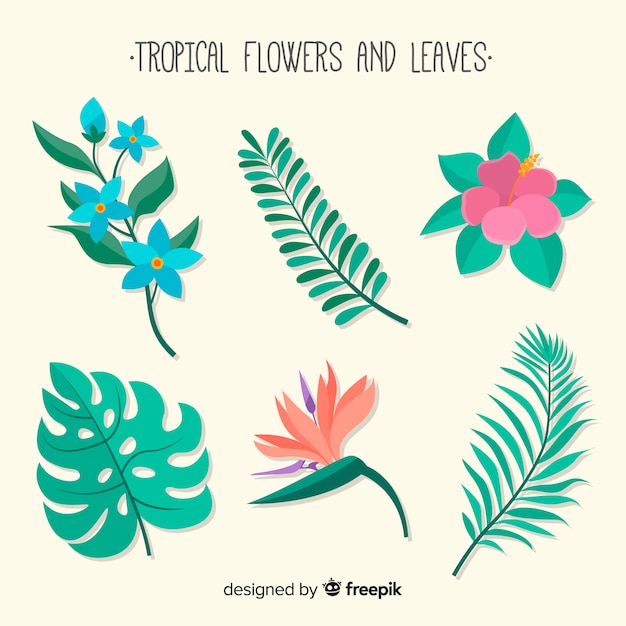 Vettore gratuito fiori e foglie tropicali