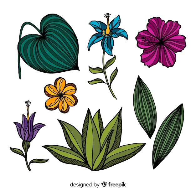 Tropical flowers and leaves