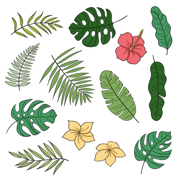 Tropical flowers and leaves