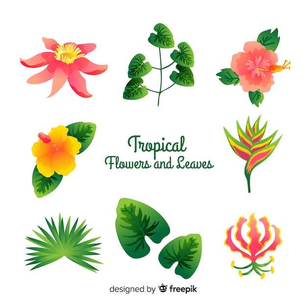 Free vector tropical flowers and leaves