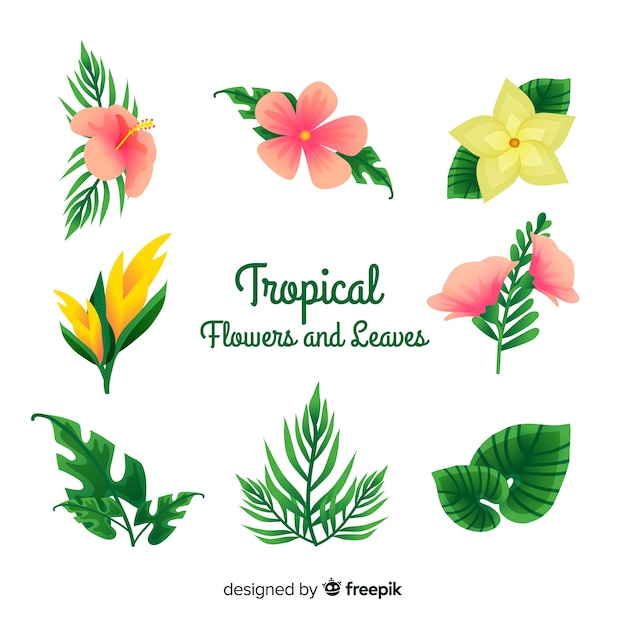 Тропические цветы и листья