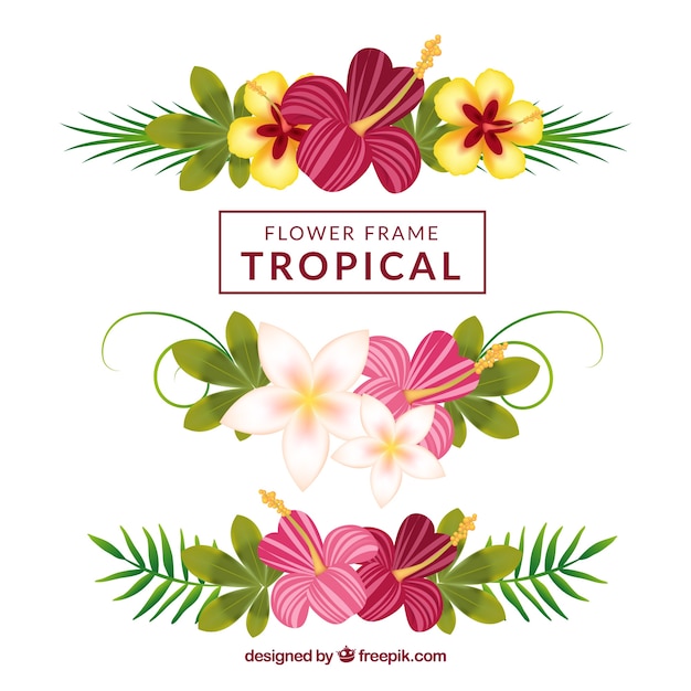 Тропические цветочные орнаменты