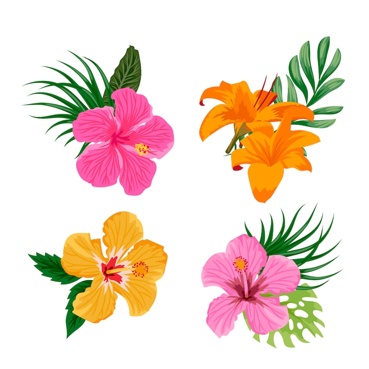 無料Vector 熱帯の花