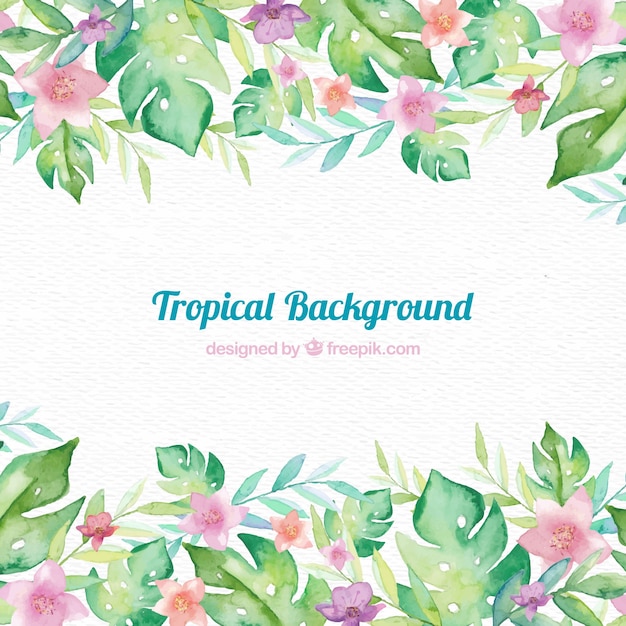 Tropical frame background