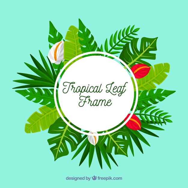 tropical frame with different leafs