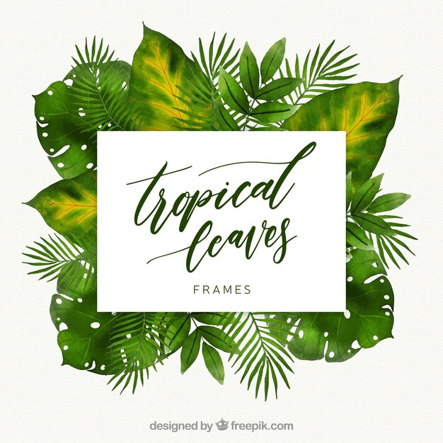 Tropical frame with different leaves in watercolor style